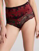 Majtki z wysokim stanem clara - 2