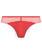 Brazyliany signature - 3