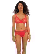 Stringi snapshot - 2